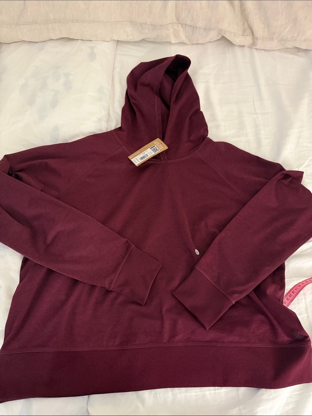 Eddie Bauer Train Ascent Hoodie BlackBerry